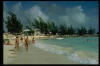 bahamas.jpg (37937 bytes)