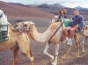 lanzarote.JPG (71334 bytes)