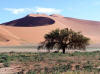 namib.jpg (69053 bytes)