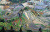yunnan.jpg (104517 bytes)