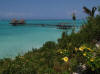 zanzibar.jpg (57225 bytes)